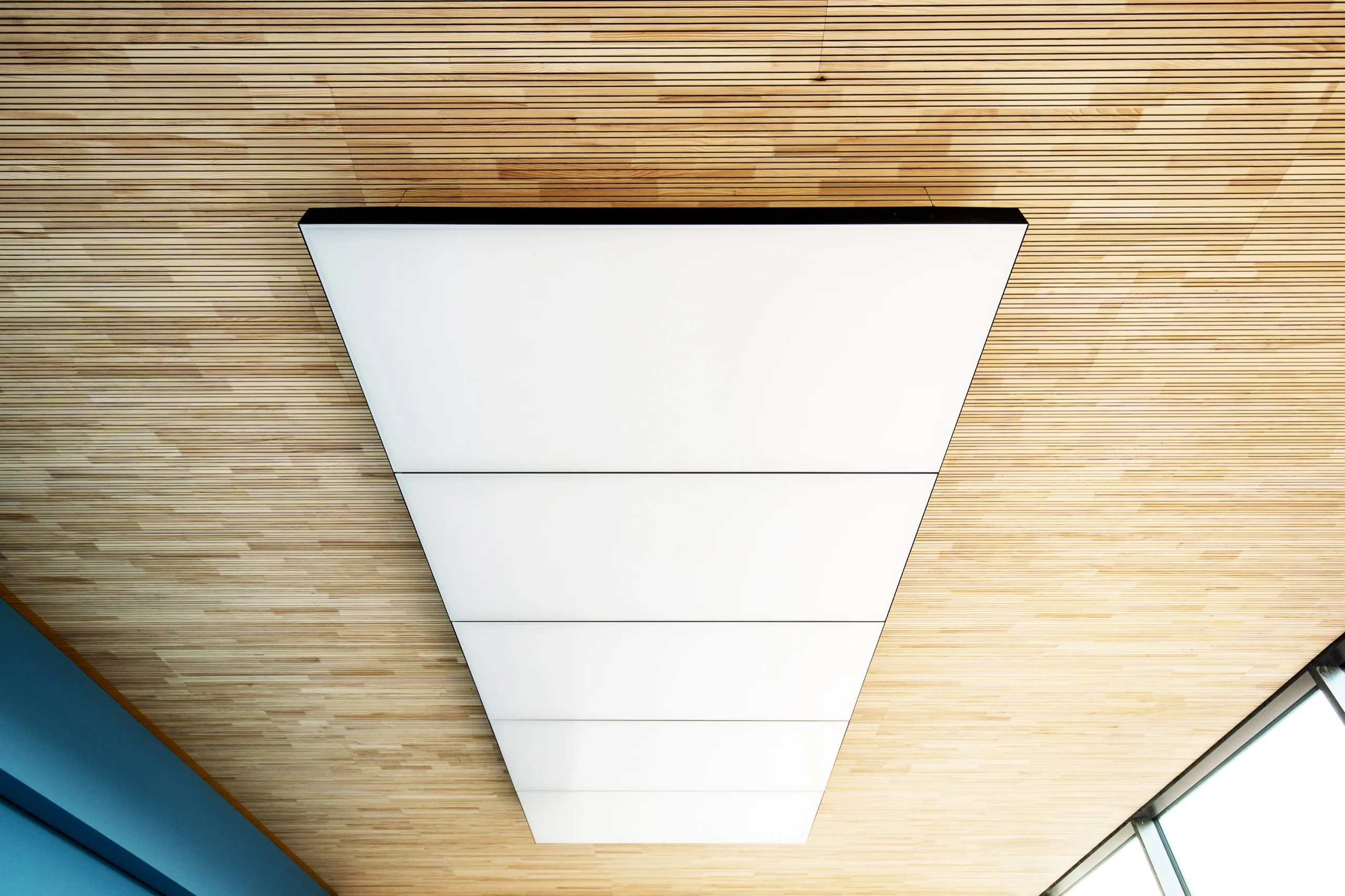 Untersicht eines interpanel Deckensegels mit Membranfläche, Fugen und Blendenkante gegen eine Holzdecke